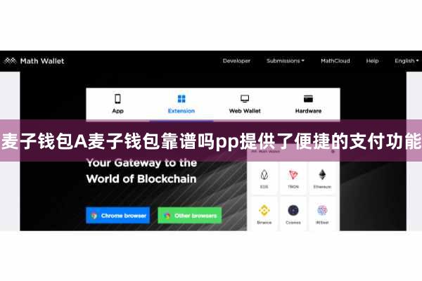 麦子钱包A麦子钱包靠谱吗pp提供了便捷的支付功能