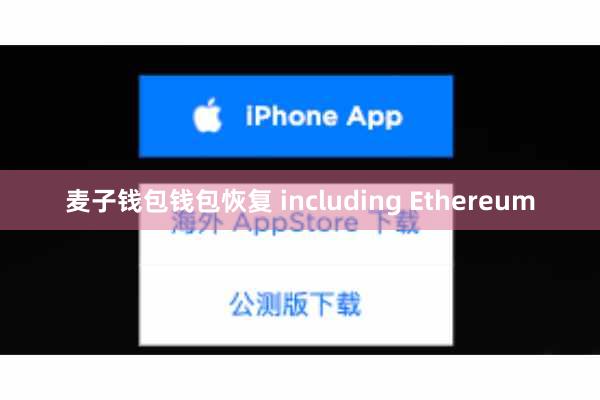 麦子钱包钱包恢复 including Ethereum