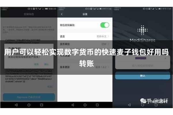 用户可以轻松实现数字货币的快速麦子钱包好用吗转账