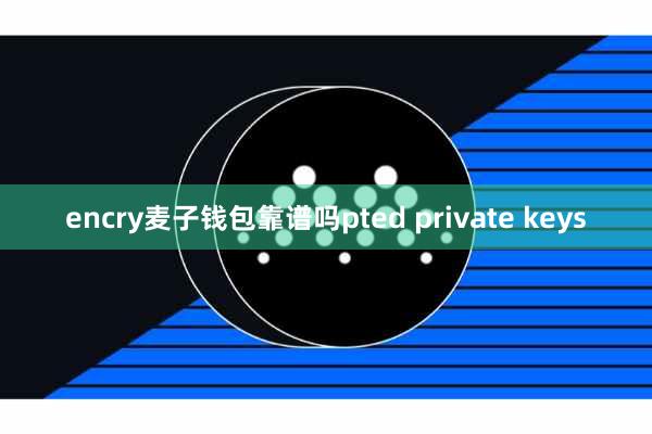encry麦子钱包靠谱吗pted private keys