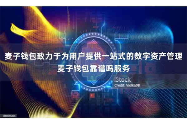 麦子钱包致力于为用户提供一站式的数字资产管理麦子钱包靠谱吗服务