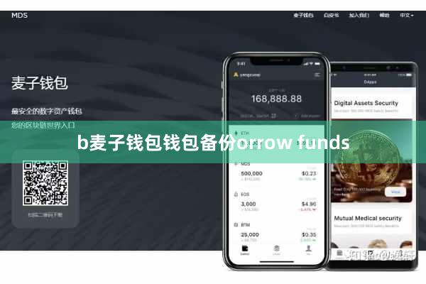 b麦子钱包钱包备份orrow funds