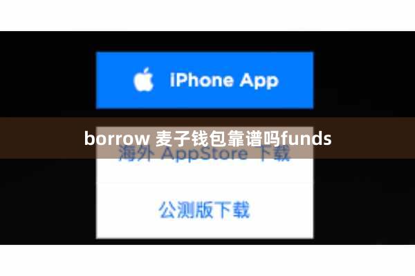 borrow 麦子钱包靠谱吗funds