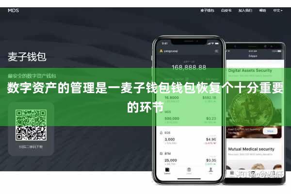 数字资产的管理是一麦子钱包钱包恢复个十分重要的环节