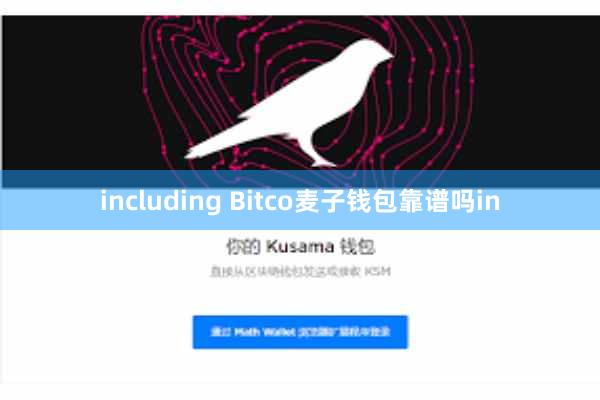 including Bitco麦子钱包靠谱吗in
