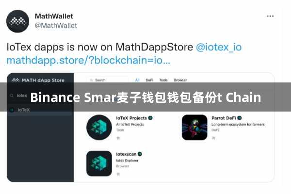 Binance Smar麦子钱包钱包备份t Chain