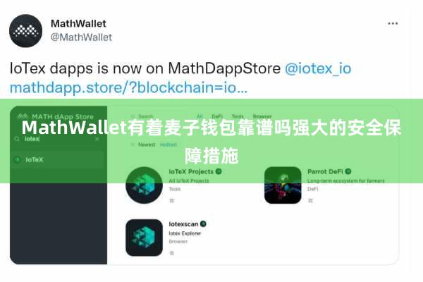 MathWallet有着麦子钱包靠谱吗强大的安全保障措施