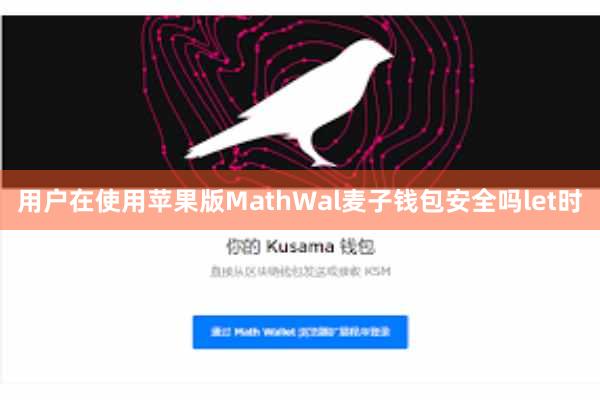 用户在使用苹果版MathWal麦子钱包安全吗let时