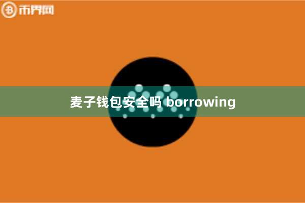 麦子钱包安全吗 borrowing
