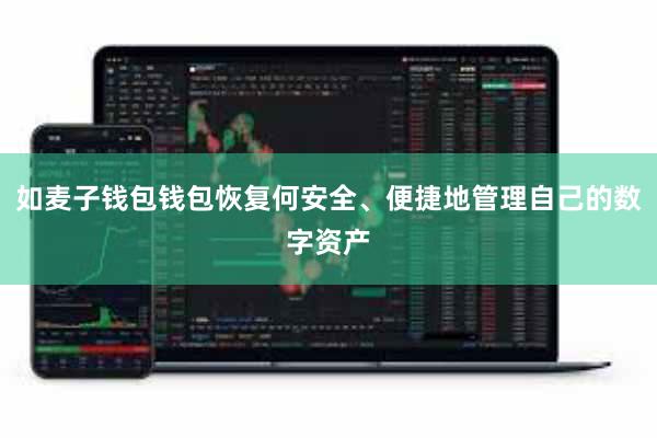 如麦子钱包钱包恢复何安全、便捷地管理自己的数字资产