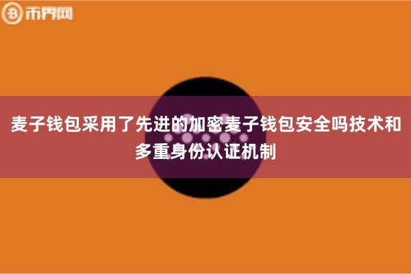 麦子钱包采用了先进的加密麦子钱包安全吗技术和多重身份认证机制