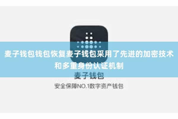 麦子钱包钱包恢复麦子钱包采用了先进的加密技术和多重身份认证机制