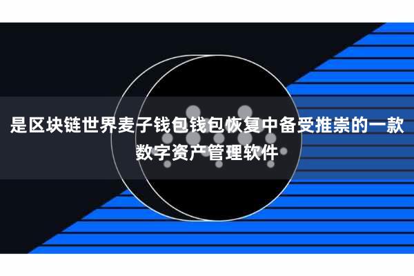 是区块链世界麦子钱包钱包恢复中备受推崇的一款数字资产管理软件