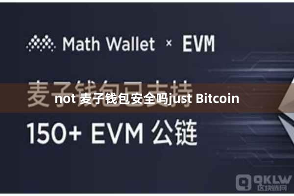 not 麦子钱包安全吗just Bitcoin
