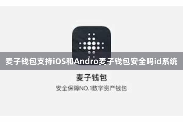 麦子钱包支持iOS和Andro麦子钱包安全吗id系统