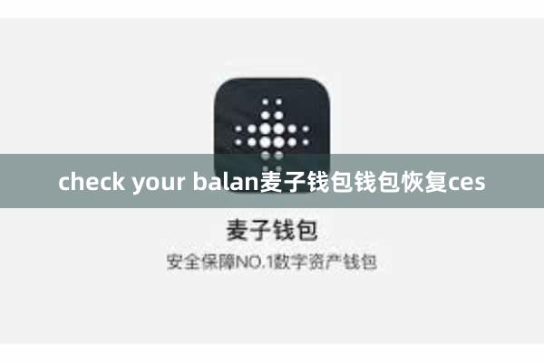 check your balan麦子钱包钱包恢复ces