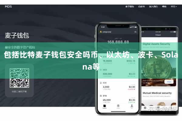 包括比特麦子钱包安全吗币、以太坊、波卡、Solana等