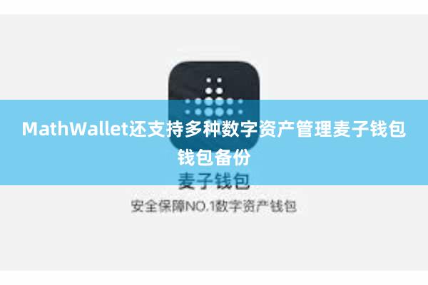 MathWallet还支持多种数字资产管理麦子钱包钱包备份