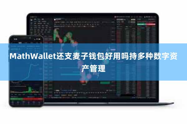 MathWallet还支麦子钱包好用吗持多种数字资产管理